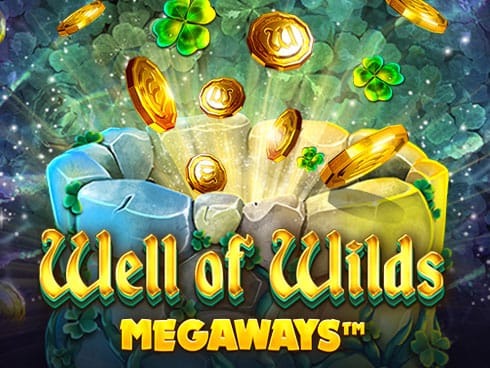 Well of Wilds Megaways game cover
