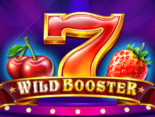 Wild Booster game cover
